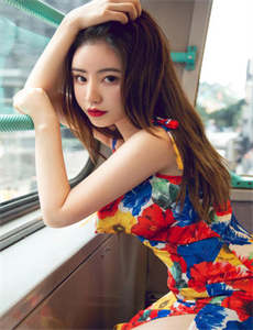 刀客家族的女人紫罗兰