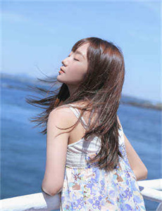 上门女婿在线观看